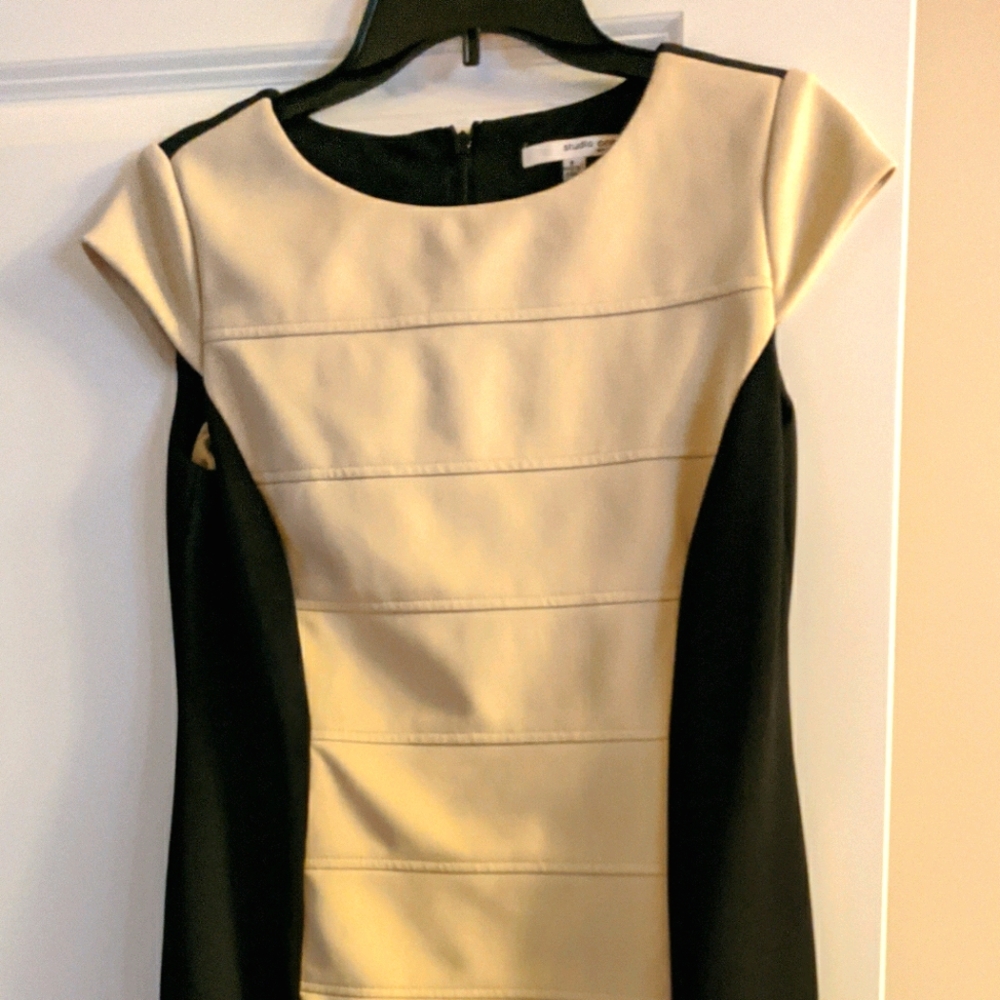 Studio one cream and black dress